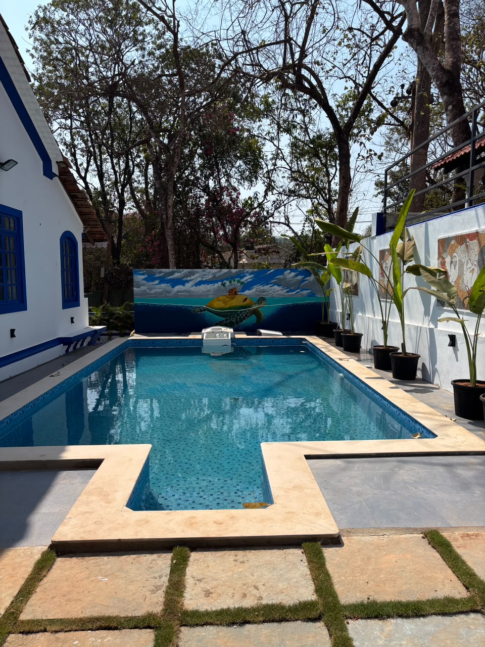 Luxury Swimming Pool